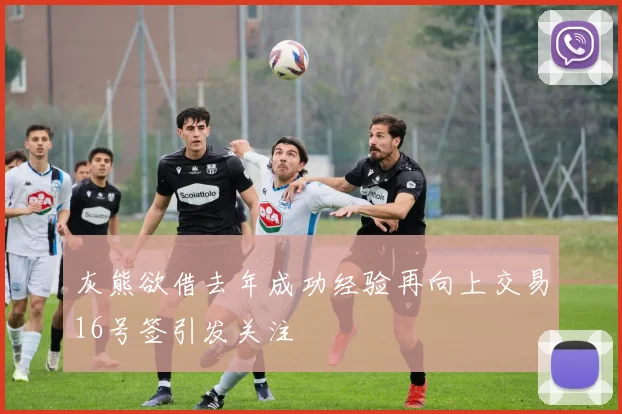 灰熊欲借去年成功经验再向上交易16号签引发关注